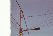 business support phone number