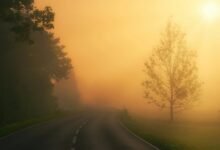 apex beam location address