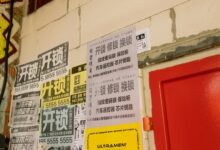 contact number verification details